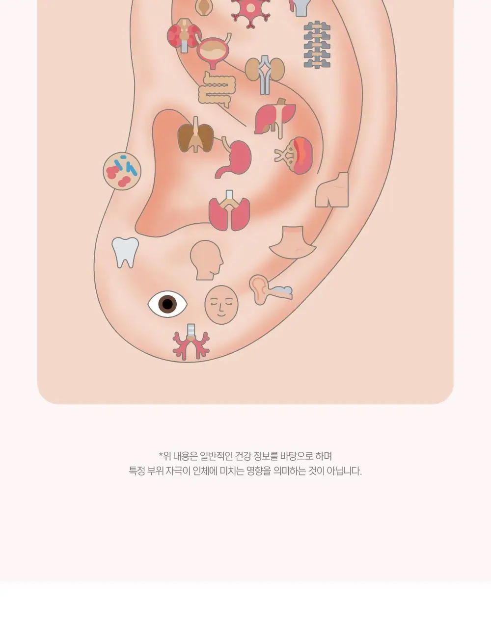 [추가2P증정] 닥터원더 피어싱 붓기 지압 귀침 (2종 중 택1) 상세페이지 17